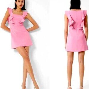 NWT - French Connection Whisper Ruffle Dress - Size 4